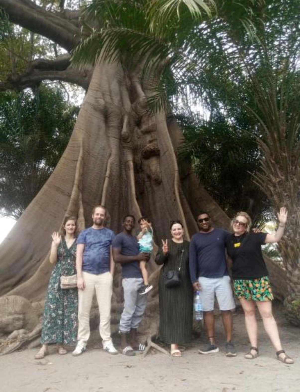 Zebras in a natural reserve during a guided safari-style excursion.
